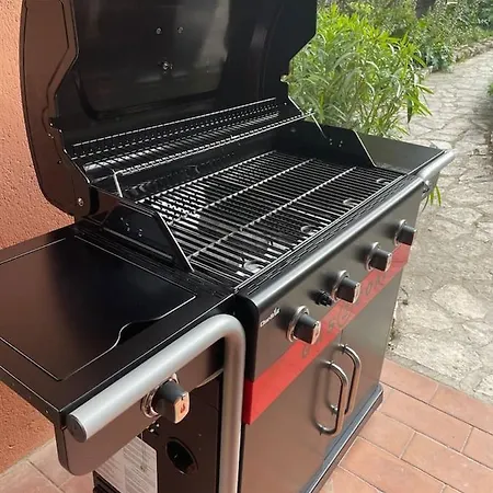 Forca De Cerro Willa