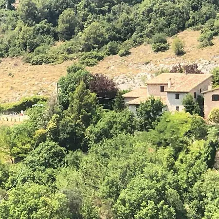 Forca De Cerro